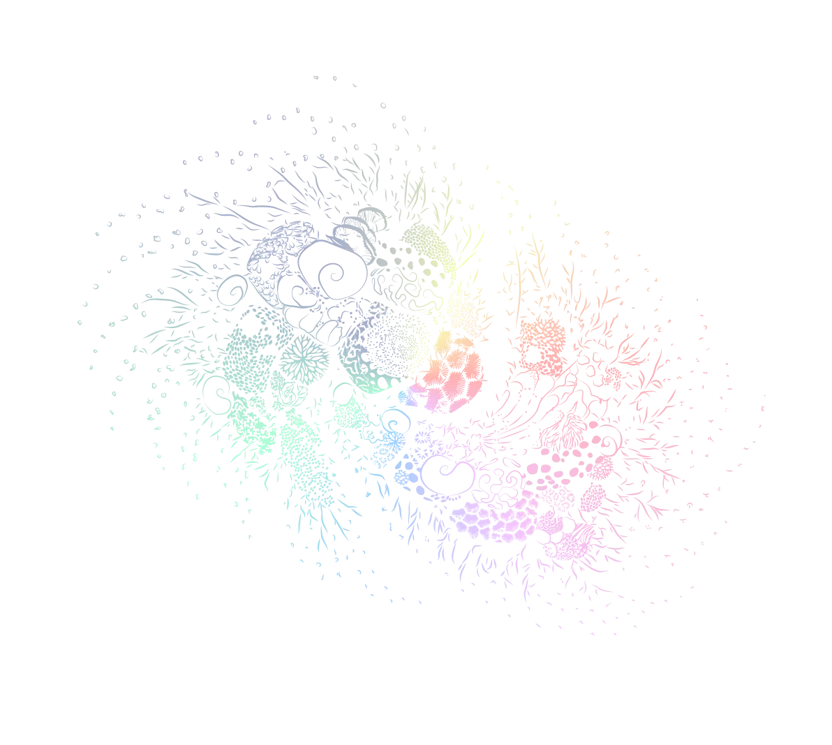 Noel 2025 コレクションはこちら