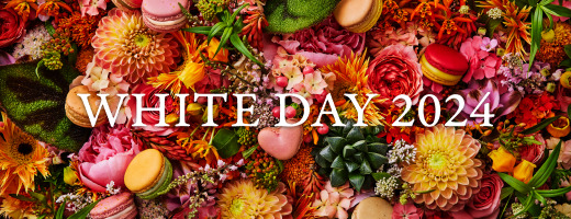 WHITE DAY 2024