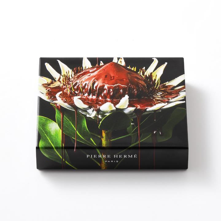 アソリュティマン ド ショコラ 8個入り | 商品一覧 | ピエール・エルメ